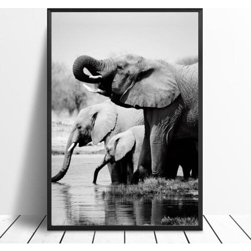 Nordic Black and White Poster Africa Animal Elephant Canvas Wall Art Print Painting Picture for Living Room Home Decoration