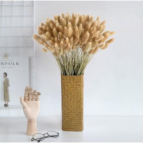 60 Stems Pampas Grass Dried Flower Bunny Tail Natural Plants Floral Rabbit Grass Bouquet Home Decoration Accessories