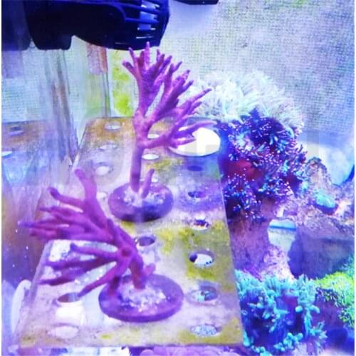 SPS phyto plus coral frag acrylic stand 8 13 23 32 holes aquarium fish reef tank