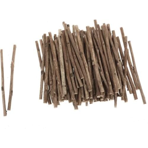 New 100Pcs Natural Camellia Wood Stick for DIY Art Craft Teethers for DIY Decor Pet Mouse Rabbit Snacks Tree Branch Chew Play