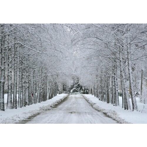 VinylBDS White Winter Photography Backdrops Forzen Snow Photo Backdrop Children Backkgrounds For Photo Studio