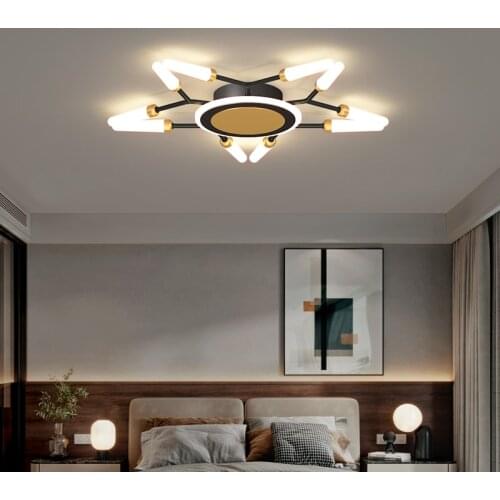 Bedroom Creative Ceiling Living Children Room Acrylic Ceiling Lamp Simple LED Nordic Black Remote Control Home Ceiling Lighting