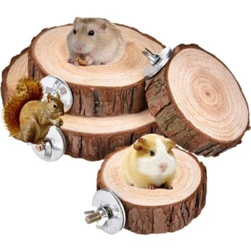 Natural Wooden Logs Board Squirrel Hamster Parrot Bird Wooden Board Jumping Platform Pet Stand Play Toy Accessories Pet Products