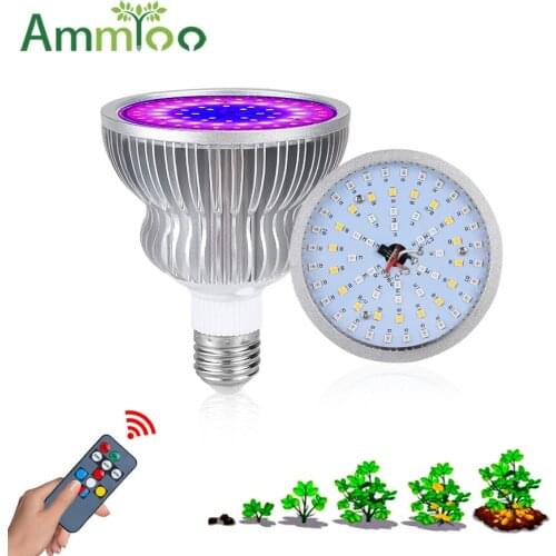 Ammtoo Plant Lamps