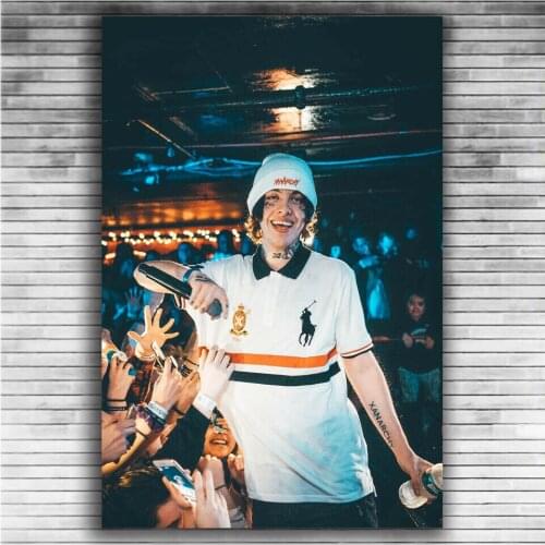 Lil Xan Rap Hip Hop Music Star Singer 4 Silk Fabric Wall Poster Art Decor Sticker Bright