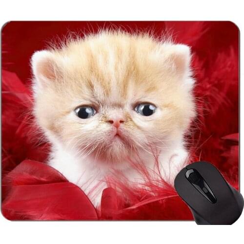 Mouse Pad with Stitched Edge,Kitten Pet cat feather Non-Slip Rubber Base Mousepad