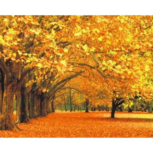 A8498 11CT/14CT/18CT/25CT/28CT oil scenery patterns Counted Cross Stitch DIY Cross Stitch Kits Embroidery Needlework Sets