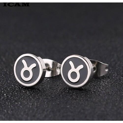 ICAM Fashion Hypoallergenic Titanium Steel Stud Earrings Classic Constellation Earrings For Women Men Gifts