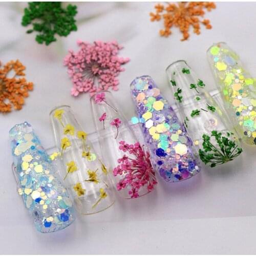 12Pcs/Set Nail Flower Decoration 3D Various Colors Dried Flower Nail Decoration Natural Floral Stickers Manicure Accessories