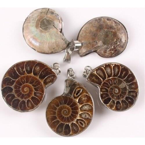 12pcs Natural Ammonite Conch Shell Pendant Bead Exquisite Handmade Chrysanthemum Snail Stone Pendant For Necklace Men Women