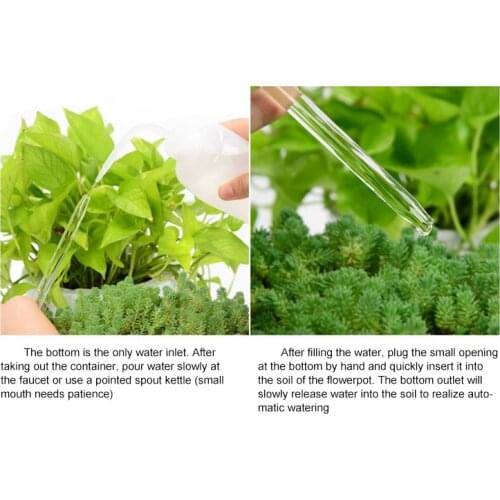 Cute Automatic Flower Watering Device Glass Self-Watering Stakes Plant Glass Waterer Automatic Irrigation Water Globe JAN88