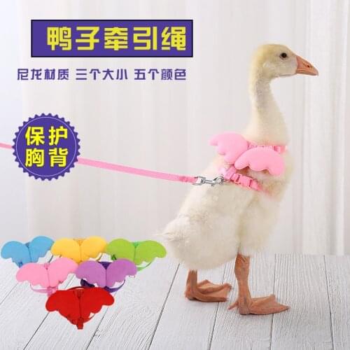 Adjustable Duck Cats Rabbit Harness with Leash for Cats Duck Goose Hen Training Walking