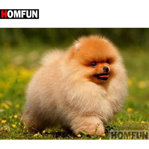 HOMFUN Full Square/Round Drill 5D DIY Diamond Painting "Animal dog" Embroidery Cross Stitch 5D Home Decor Gift A17728