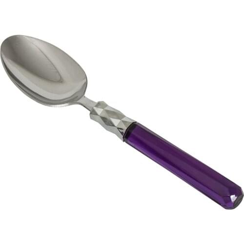 Purple Color 6'LI Platinum Spoon Set