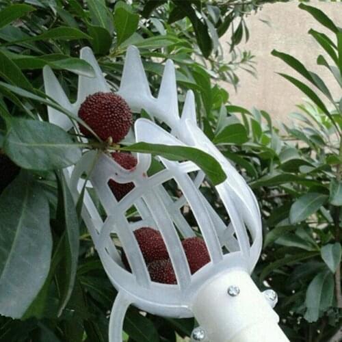Greenhouse Plastic Fruit Picker Catcher Fruit Collection Picking Tool Farm Fruit Catcher Device Garden Picking Greenhouses Tool