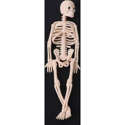 Skeleton Human Model Skull Full Body Mini Figure Toy Phone Hanger Halloween