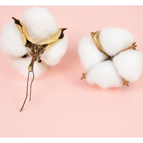 5/10Pcs White Cotton Dried Flowers DIY Flower Wreath Kapok Cotton Artificial Flowers For Wedding Party Home Decorations Supplies