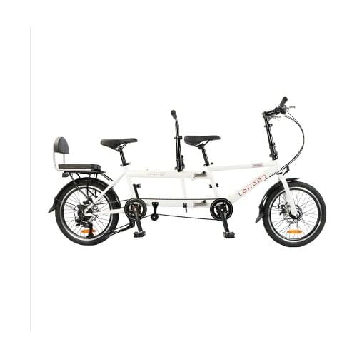 Taga brand Parent-child bike bicycle mother child bike bicycle folding twin bike parent bicicletas travel l Trailer micr trike