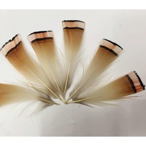 Feather Trim Fringe, 5-8CM 100Pcs/Lot Fan-Shaped Feather, Lady Amherst Pheasant Plumage Feather