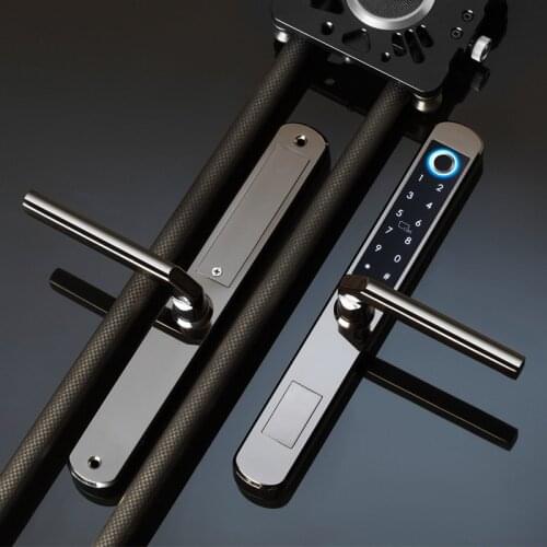 TTlock Biometric Finger Print Lock Password IC Card APP Fingerprint Unlock,Framed Glass Door Aluminum Alloy Door Sliding Door