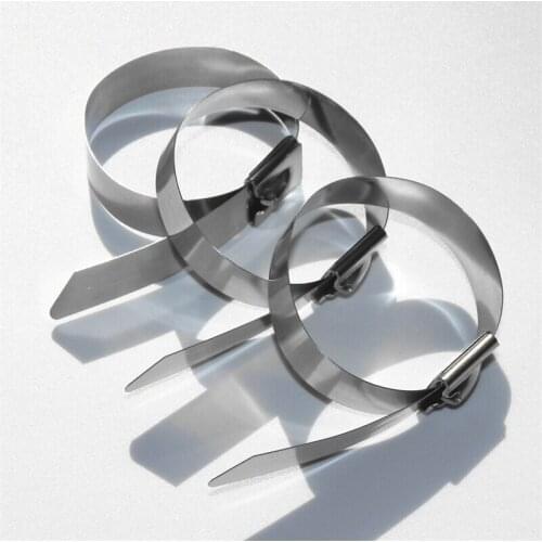 BULSUNSOLAR500pcs/lot 43 inch 4.6mm x 1100mm Thickness 2.5mm Best 304 Grade colorful self locking Stainless Steel cable ties