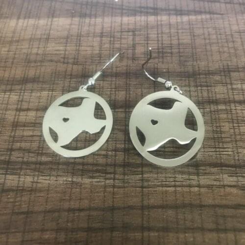 10 pcs/Lot Texas Map Earrings Stainless Steel with Love Heart USA State TX Geography Map Fashion Jewelry for Women and Men Gift