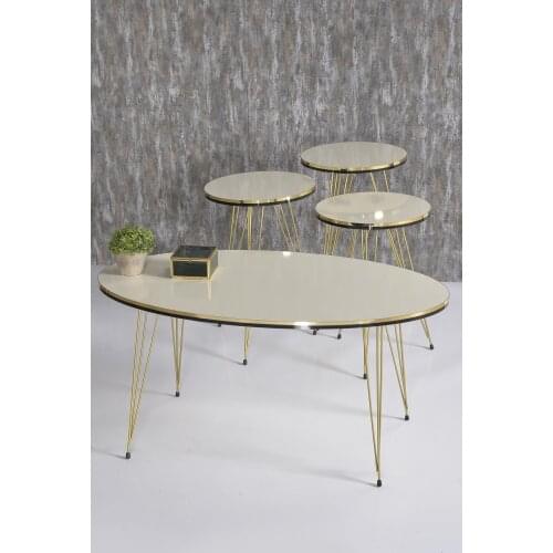 Zigon Coffee Table And Coffee Table in the Middle Ellipse Set Double Gold Cream Wire Foot