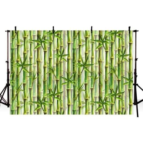 Photography Backdrop Bamboo Forest Panda Spring Green Background Photo Studio Photocall Shoot Prop Decor Fabric New LV1813