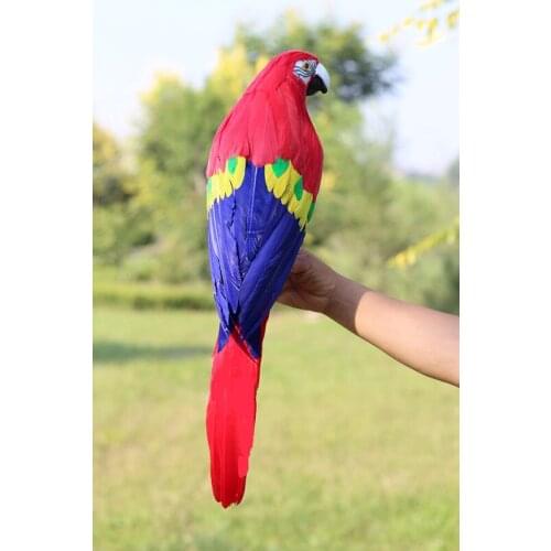 Foam&feathers parrot bird large 60cm coloured red-blue feathers parrot model.garden decoration gift w0885