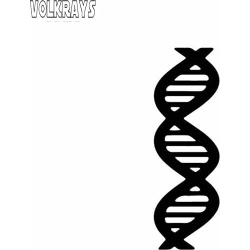 Volkrays Personality Car Sticker Medical DNA Helix Biology Chemistry Genetic Protein Accessories PVC Decal Black/Silver,14cm*4cm