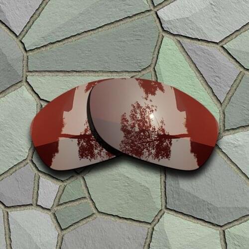 Bronze Brown Sunglasses Polarized Replacement Lenses for Oakley Pit Bull