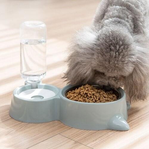 Multicolor portable Bowl for Dogs Cats Food and Water cups Dogs Cats Drinking High Quality Pet Products Travel out of the door