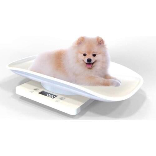 High Precision Digital Scale Lcd Pet Electronic Weighing Scale Mini Precision Grams Weight Balance Scale For Measure Puppy Cat