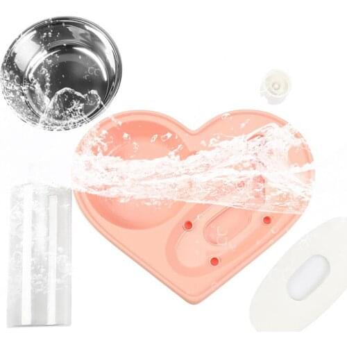 High Quality 2 In 1 Water Dispenser and Food Feeder with Removable Base Pet Feeding Bowl for Cats and Small Dogs