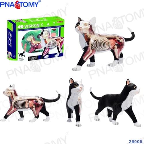 4D Animal Puzzle Cat Toys Animal Anatomical Models Detachable DIY Children Gifts Feline Model Educational Tool 4D MASTER 26005