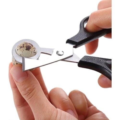 Bird Tool Cracker Quail Egg Pigeon Scissor Cutter Blade Clipper Kitchen Cigar Opener