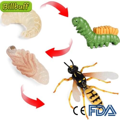 Simulation Animal Growth Model Cycle ABS Wasp Butterfly Bee Figures Collection Cognition Educational Toys for Children Kids Gift