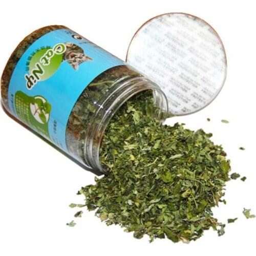 100% Natural Organic Premium Catnip For Cat Conditioning Stomach Menthol Flavor Pet Cats Non-Toxic Kitten Supplies 10/20/30g