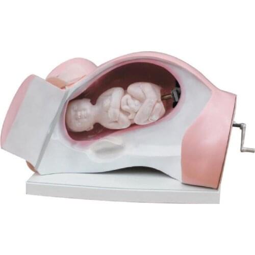 Course of Delivery Training dummy Medical education Childbirth Fetus Manikins