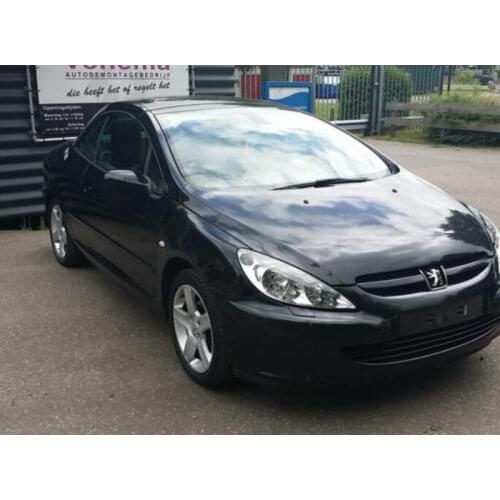 Fog lamps lights for PEUGEOT 307 CC (3B) Stop lamp Reverse Back up bulb Front Rear Turn Signal error free 2pc