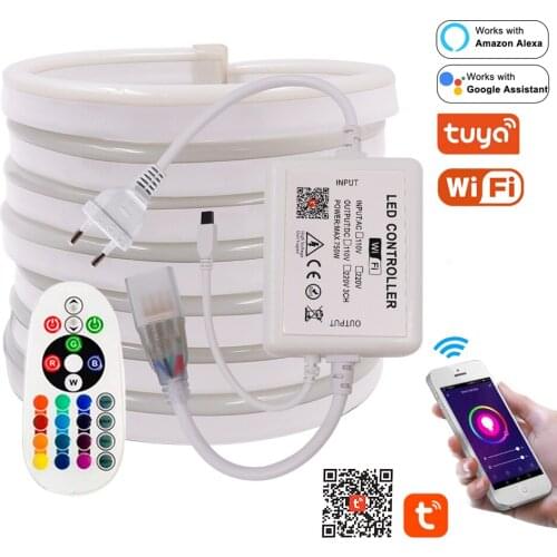 WIFI RGB Neon Strip Light 220V Flexible LED Neon Sign Night Light 2835 5050 120LEDs/m Flex Ribbon Tape Diode With Remote Control