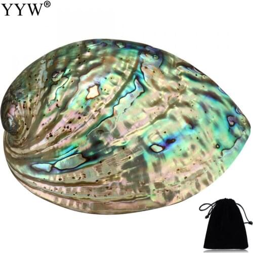 90x120x39mm Large Abalone Shell(4-5") rainbow multicolor oval burning smudge bowl with velvet pouch jewelry holder for gift
