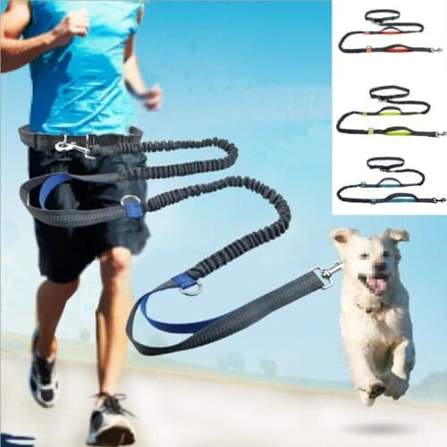 New Pet Dog Running Belt Reflective Leash Traction Rope Elastic Hands Freely Jogging Pull Dog Leash Metal D-ring Leashes