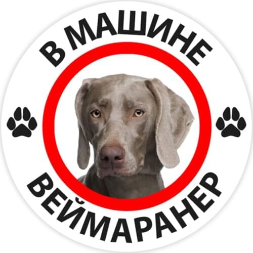 B0299# 10/13/15 cm In the Car Weimaraner Self-adhesive Decal Car Sticker Waterproof Auto Decors on Bumper Rear Window