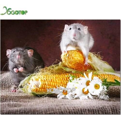 5d diy diamond painting Mouse and corn funny animal square round diamond embroidery mosaic pattern Home decoration craft YY2540