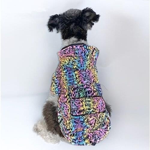 Bigeyedog Womens Bags