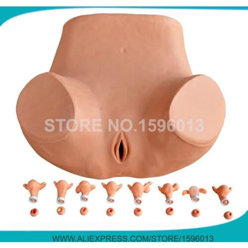 Advanced Gynecological Examination Model,Vaginal and Pelvic Examination Model