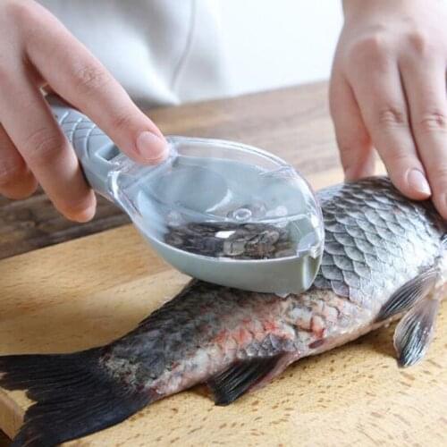 Kitchen Gadget Fish Skin Brush Scraping Fishing Scale Brush Graters Kitchen Knife Cleaning Planing Peeler Scraper Tools