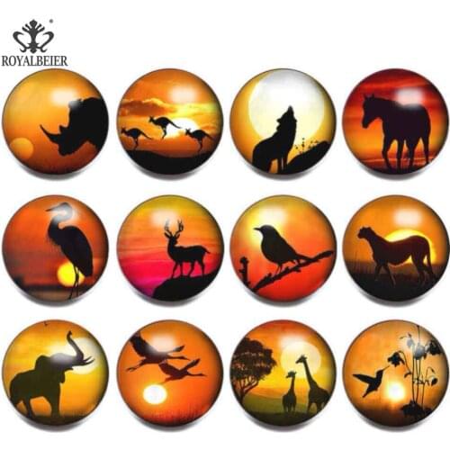 12pcs/lot 18mm Glass Snap Button Sunset at Dusk Animal Pattern Theme For 18mm Snaps Bracelet Necklace Snap Charms Jewelry