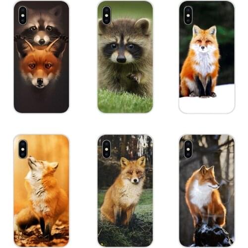 Accessories Phone Cases Covers For Samsung Galaxy J1 J2 J3 J4 J5 J6 J7 J8 Plus 2018 Prime 2015 2016 2017 Animal Raccoon Fox
